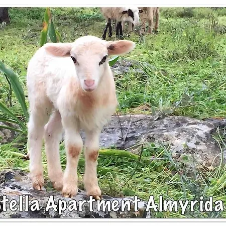 Appartement Stella In Almyrida Slechts 350m Vanaf Het Strand, Auto Huren Niet Nodig